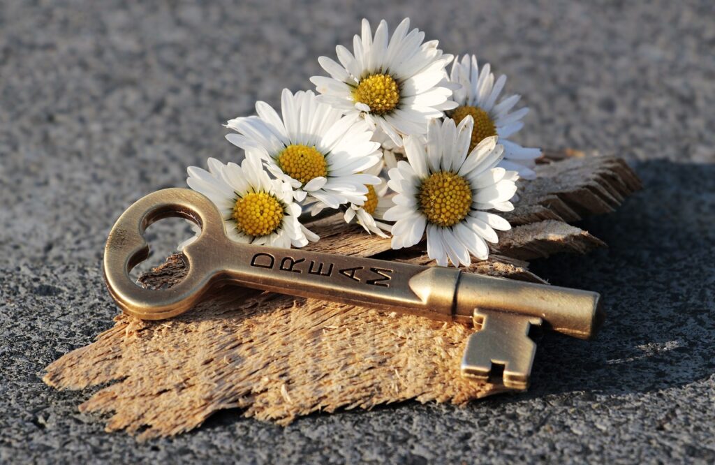key-heart-daisy-3087889 key, heart, daisy-3087889.jpg