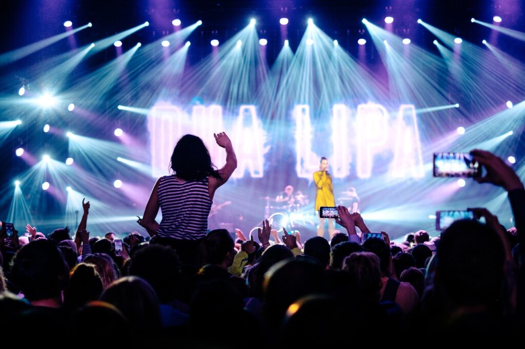 dua-lipa-concert-audience-1838653 dua lipa, concert, audience-1838653.jpg